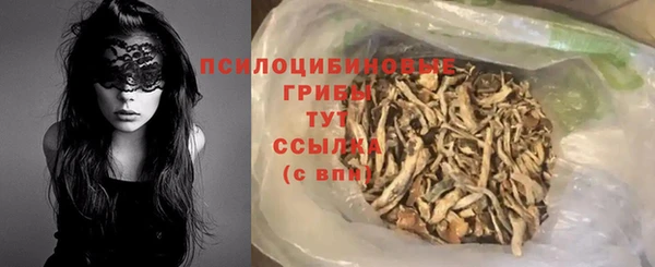 шишки Баксан