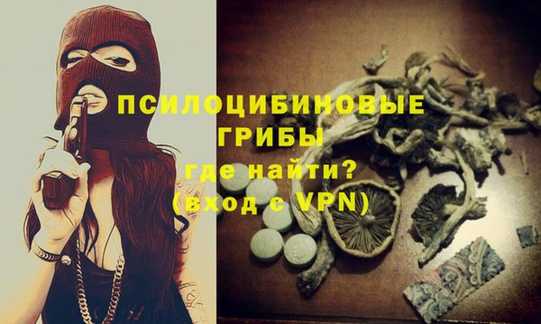 сатива Аркадак
