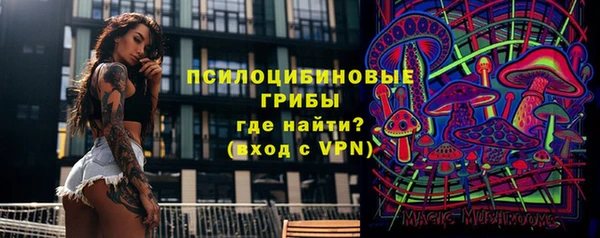 сатива Аркадак