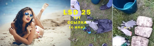 сатива Аркадак